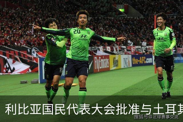 利比亚国民代表大会批准与土耳其海域划界协议，欧盟和希腊表达反对