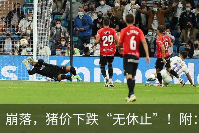 崩落，猪价下跌“无休止”！附：10月28日猪价